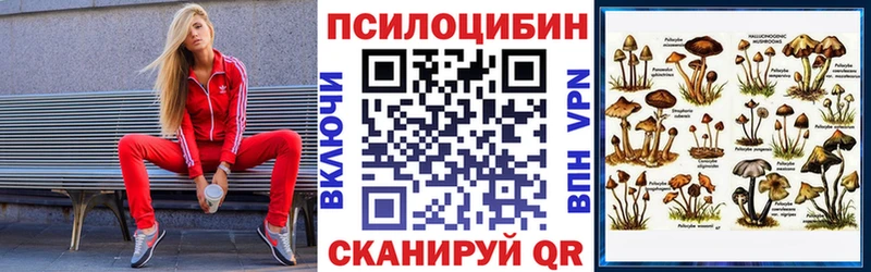 Псилоцибиновые грибы GOLDEN TEACHER  Купить где  Артёмовск 